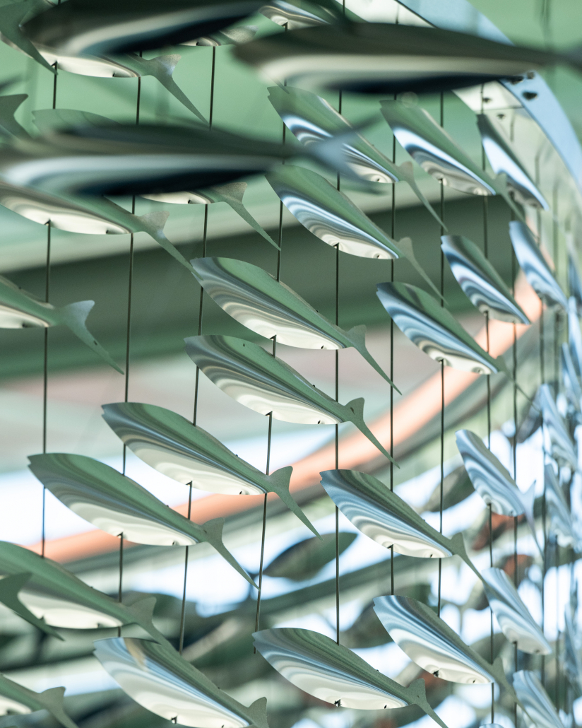 18C31325-26C2-4D4D-8B65-B75ACA55C128