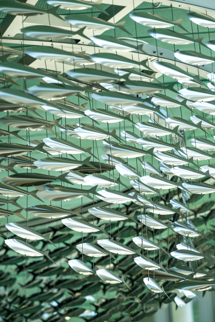 1B763506-BDB3-4B2A-A2D2-DA177B91A70C