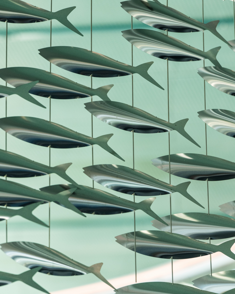 86F4C9F5-305B-40EB-9D0F-8516CDE34F04